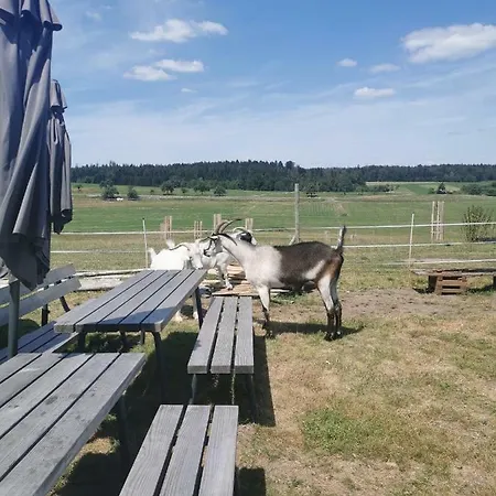 Vakantieboerderij Heuhotel Beim Gnadenhof *
