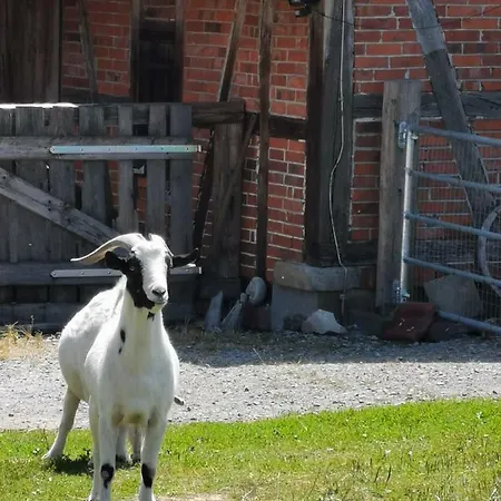 Heuhotel Beim Gnadenhof Vakantieboerderij *