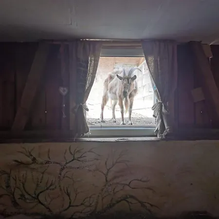 Heuhotel Beim Gnadenhof Vakantieboerderij *