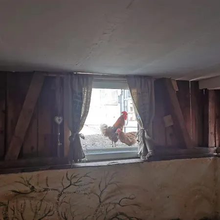 Heuhotel Beim Gnadenhof Vakantieboerderij *